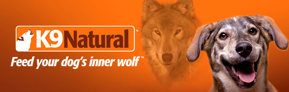 K9_Header1