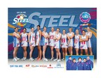Southern Steel 2009 Team Poster