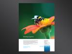 Print with Verve